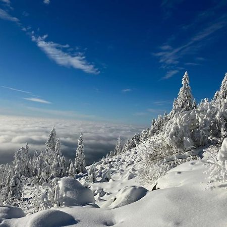 Kostelapartmany Liberec Ngoại thất bức ảnh